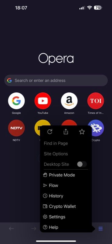 Настройки Opera на iPhone, раздел блокировки рекламы