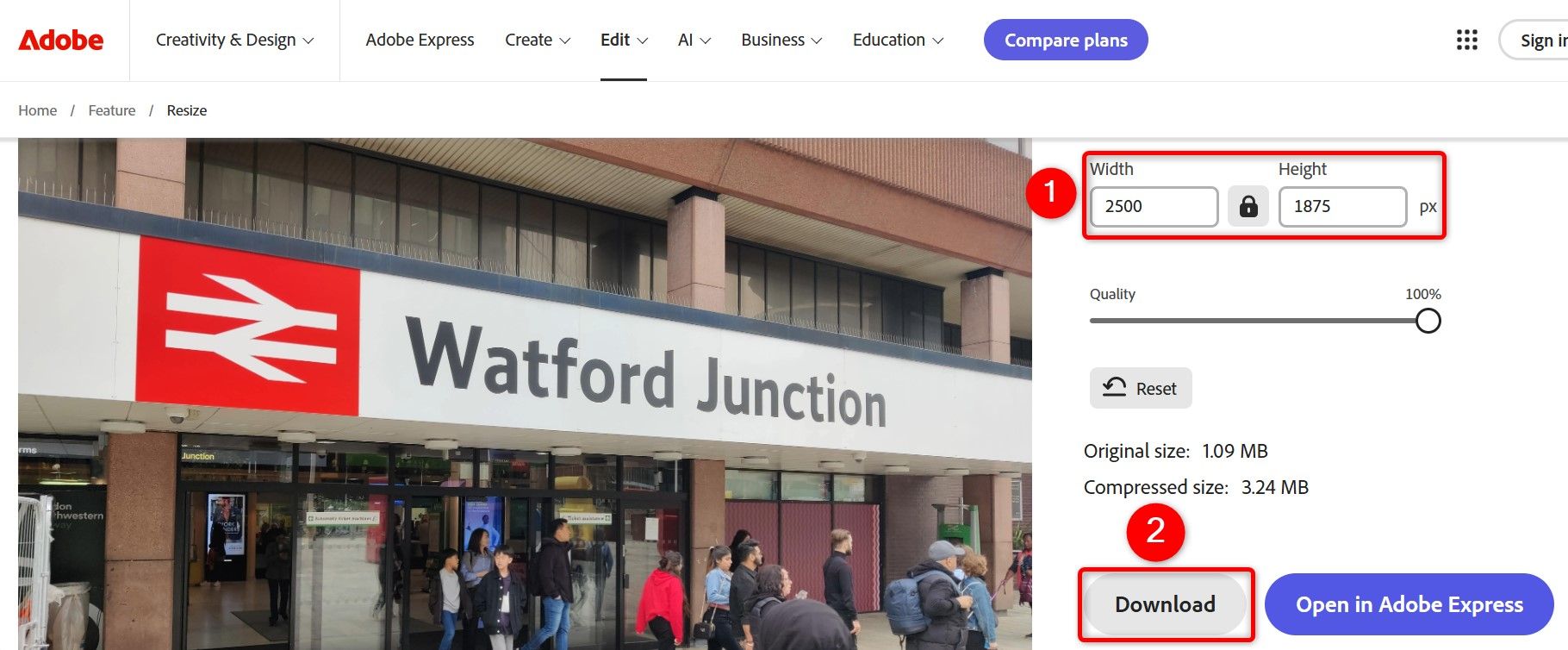 'The size boxes and 'Download' highlighted on the Adobe Express site.