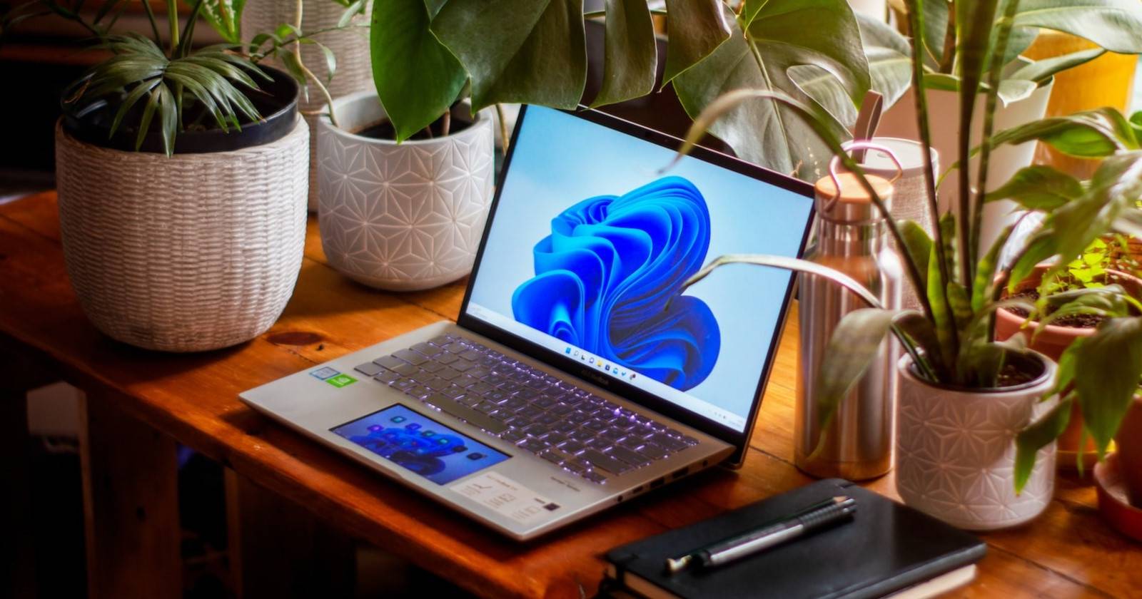 Ноутбук с Windows 11 на деревянном столе, окружённый комнатными растениями