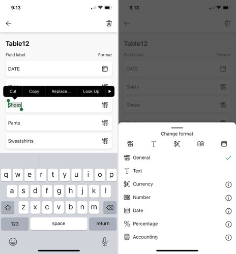 Редактирование поля или его формата