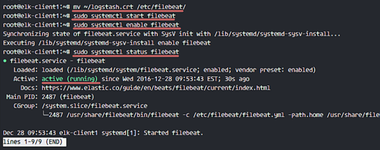 Установка Filebeat на Ubuntu клиента