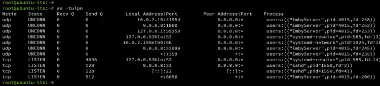 Проверка используемых портов для Emby