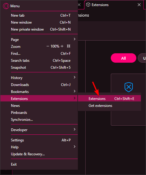 Открытая панель расширений в Opera