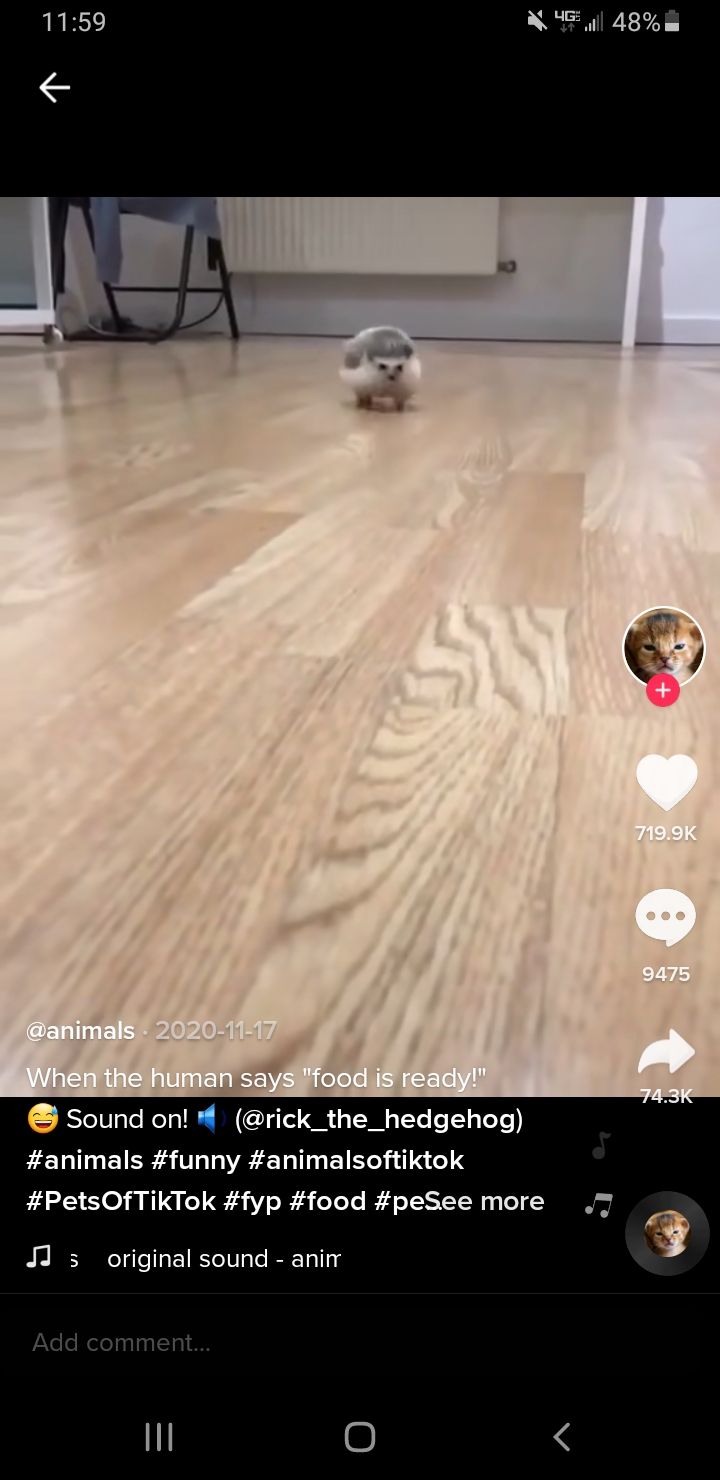 Скачивание видео из TikTok