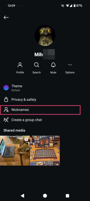 Экран опций чата с пунктом Ники в приложении Instagram