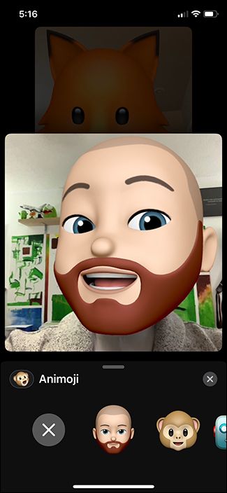 Меню дополнительных опций в FaceTime: выключить видео, микрофон, сменить камеру