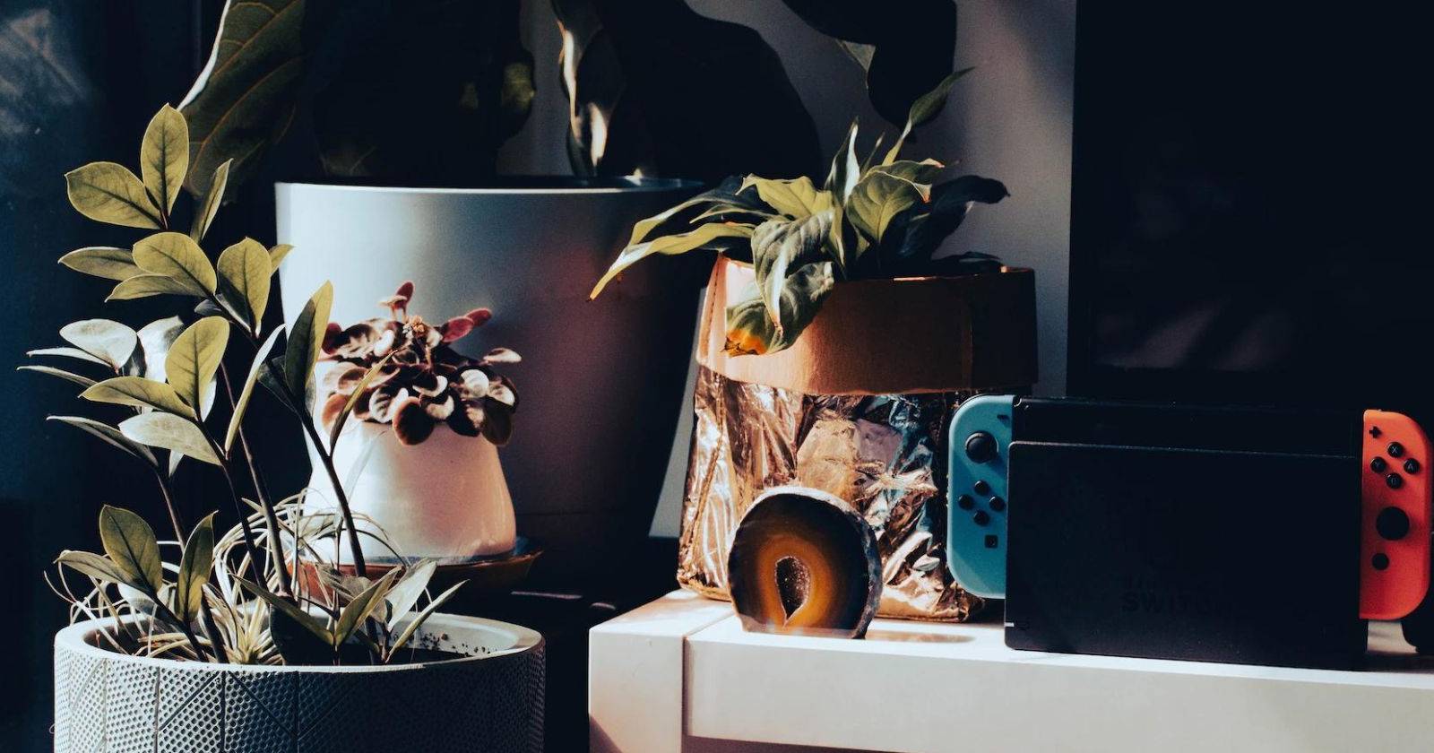 Nintendo Switch в док-станции в окружении растений