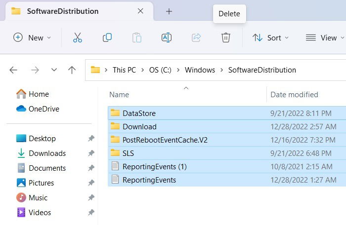 Carpeta SoftwareDistribution abierta mostrando archivos temporales de Windows Update que pueden eliminarse con respaldo