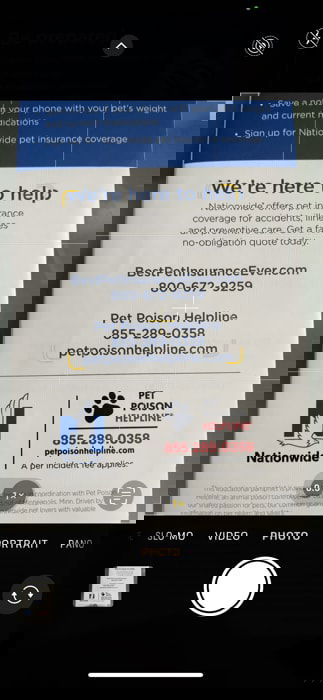 Открытая камера iPhone