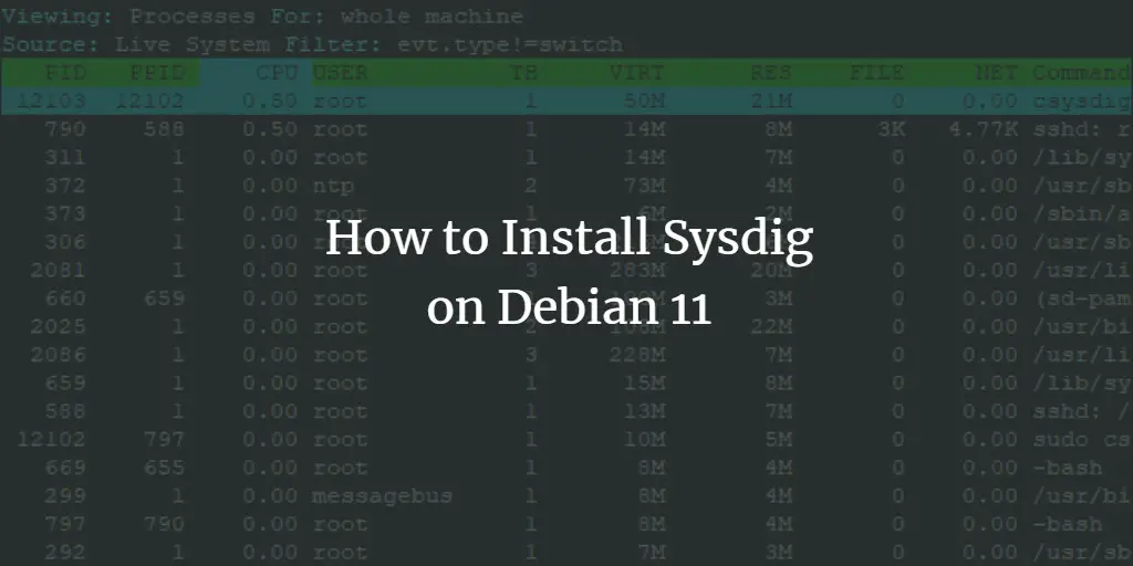Установка и быстрое руководство по Sysdig