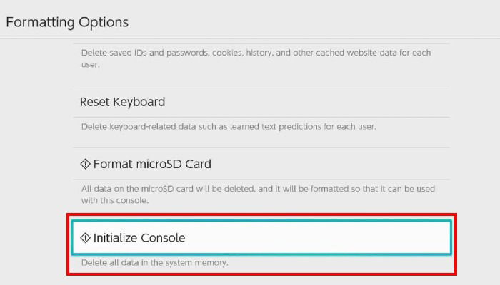 Nintendo Switch Formatting Options