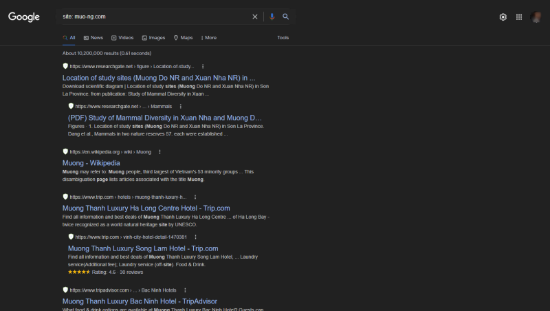 Поисковая выдача Google: похожие сайты и URL, когда сайт не найден