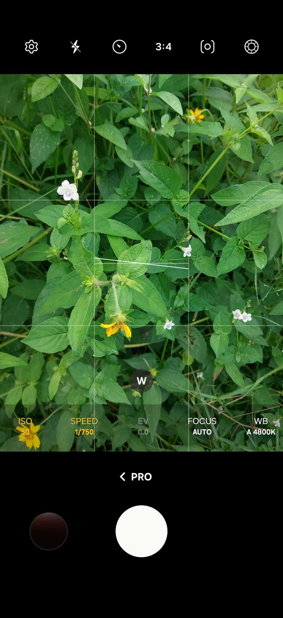 Pro camera mode on Samsung Galaxy