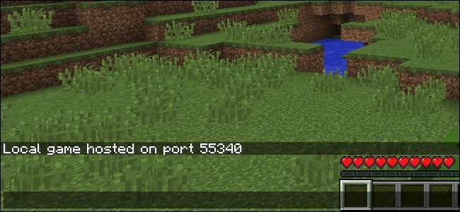 Сообщение о локальном хостинге и порте