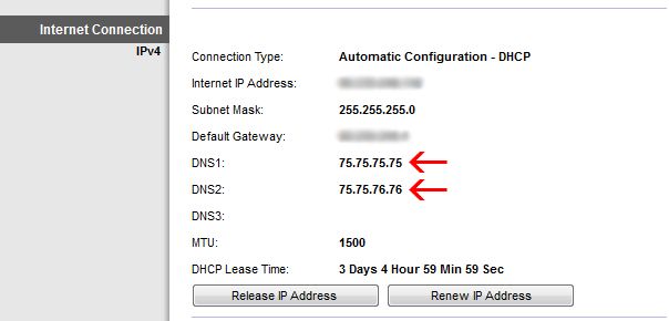 Раздел со значениями DNS в интерфейсе роутера