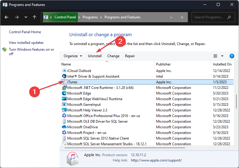 Окно удаления программы с примером iTunes