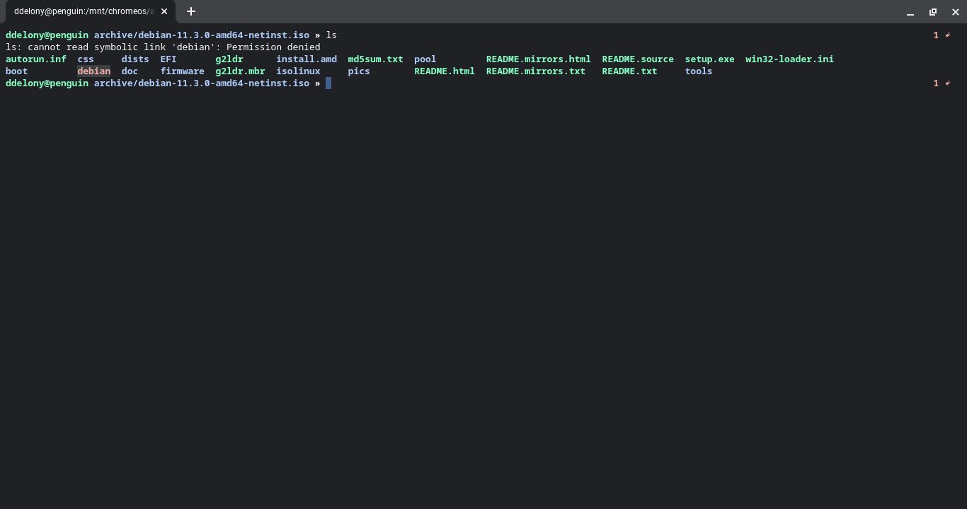 Linux на Chromebook показывает список файлов смонтированного ISO-образа в терминале.