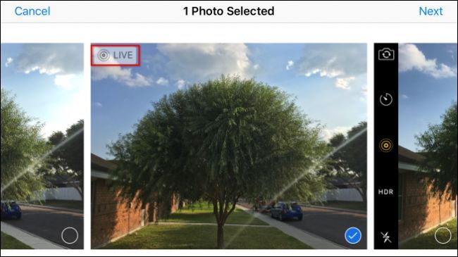 Иллюстрация: готовое статичное фото, готовое для отправки
