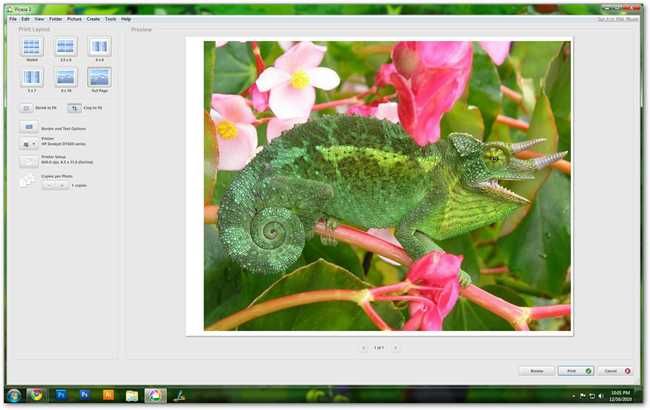 Диалог настроек принтера