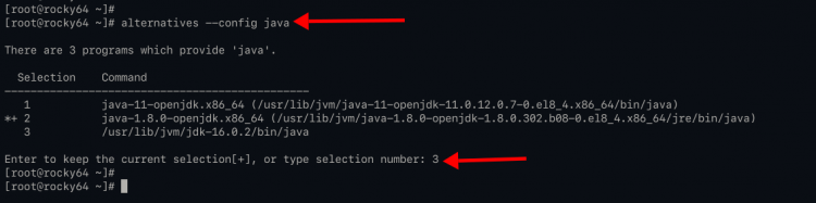 Выбор версии java