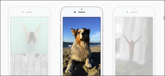 Как снимать Live Photos на iPhone — советы и инструкция