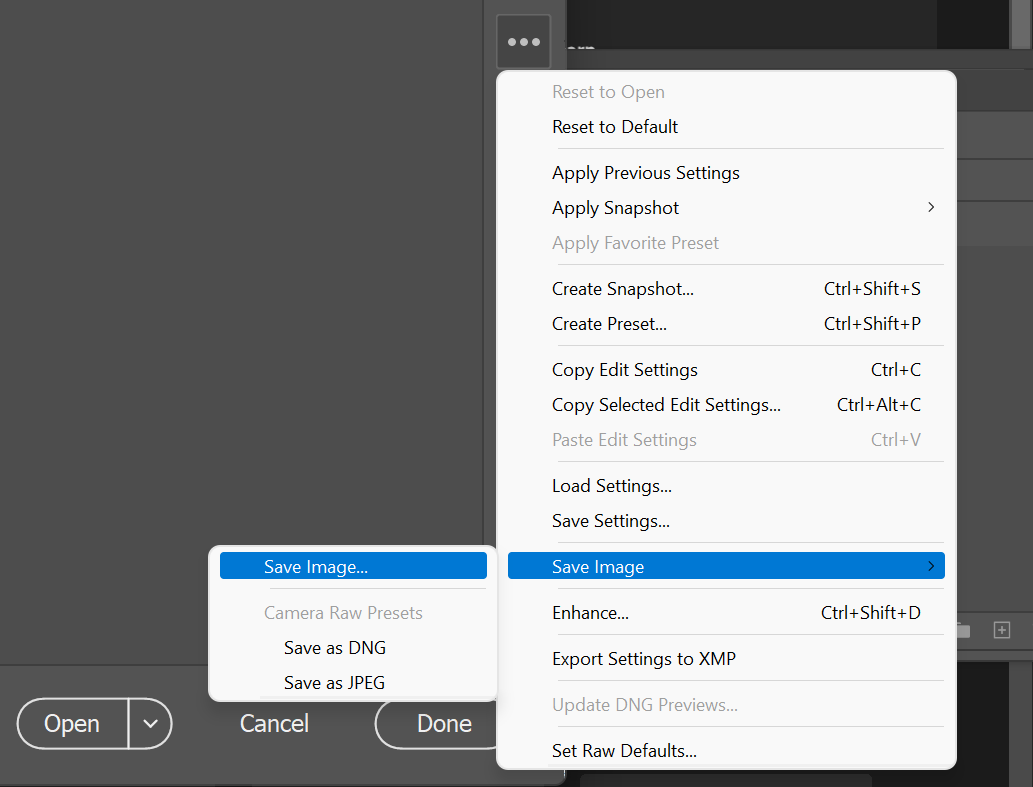 Диалог сохранения изображения в Adobe Camera Raw