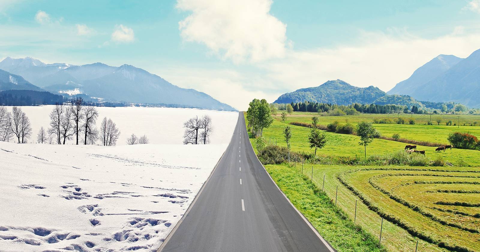 country road with winter and summer mirror scene