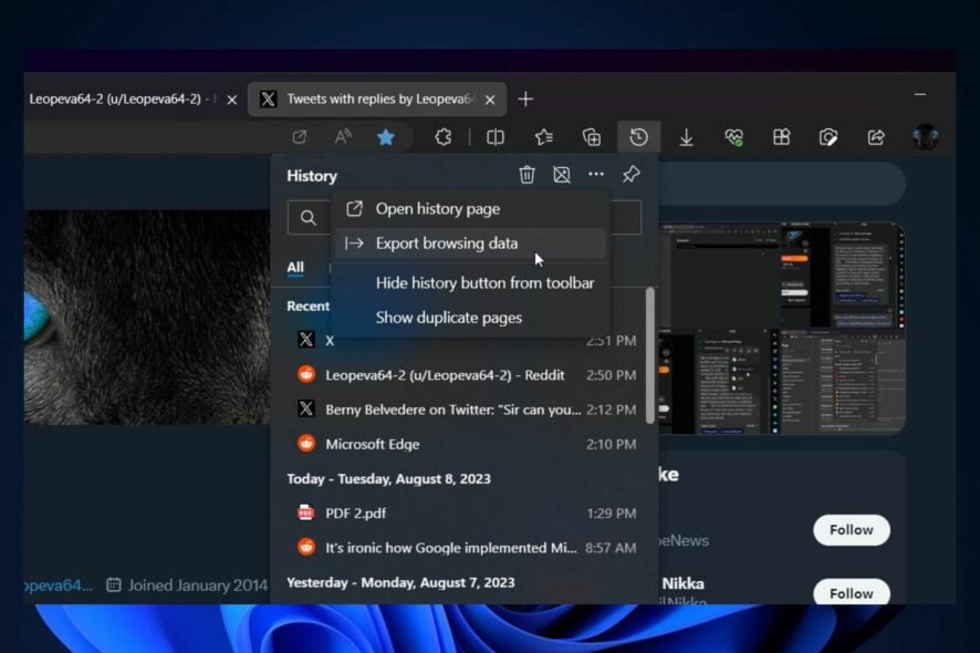 Экспорт истории Edge: как сохранить и что учесть