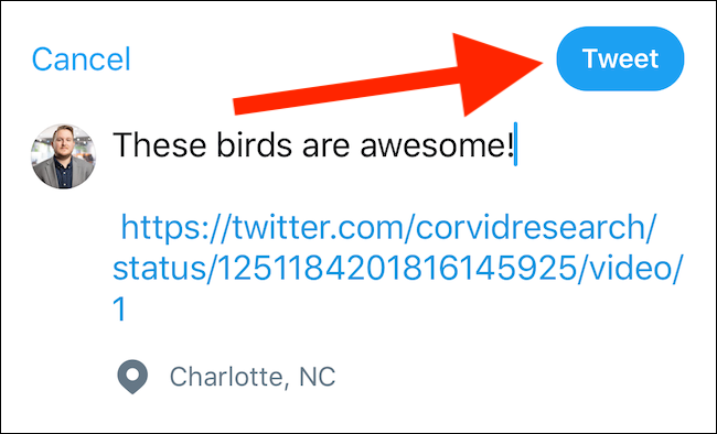 Составьте твит и нажмите кнопку 