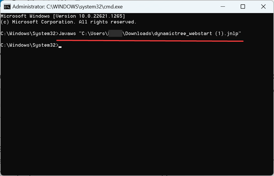 Изображение: пример команды javaws для запуска JNLP