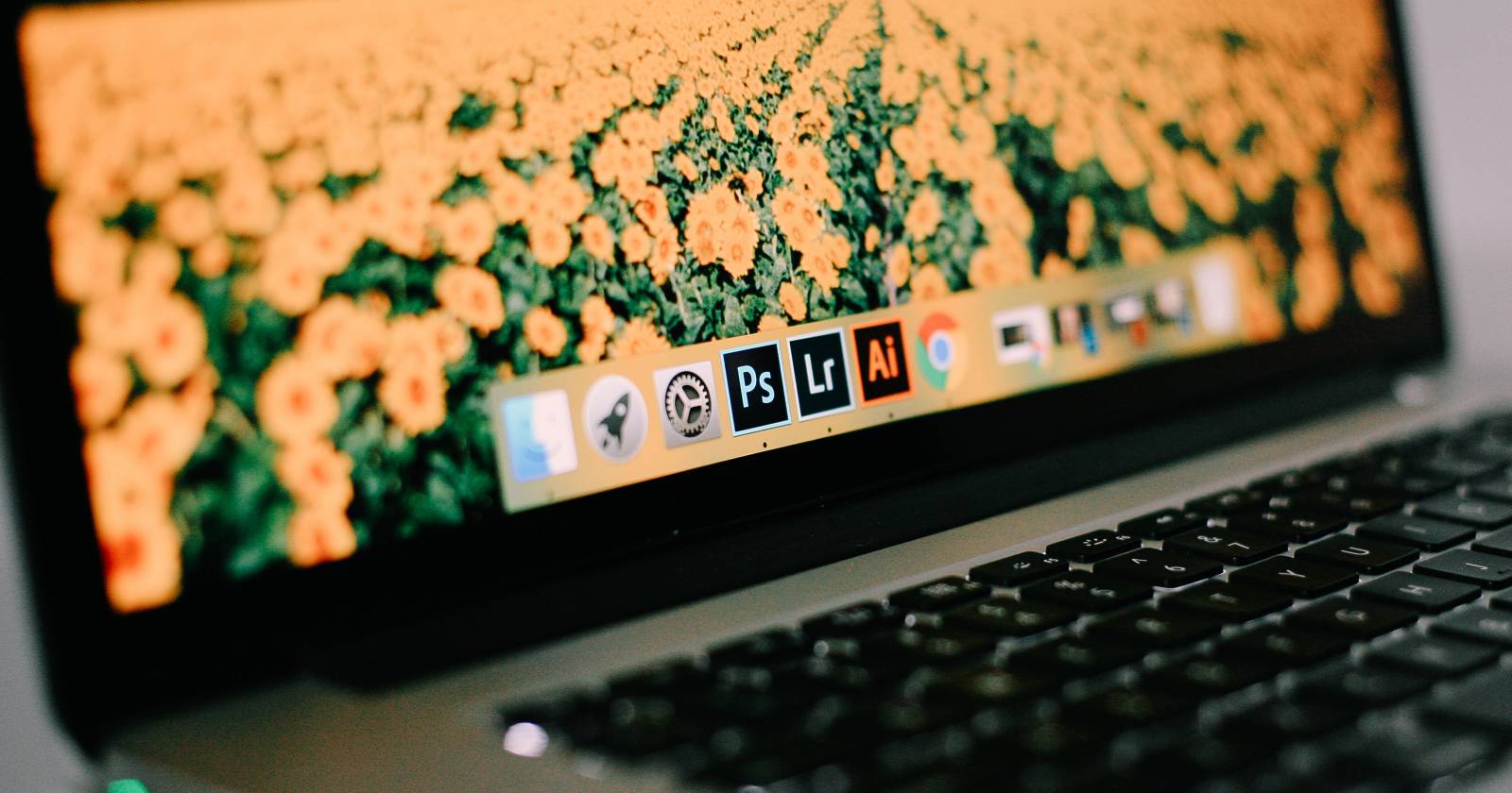 Фотография разных логотипов Adobe на панели приложений Mac