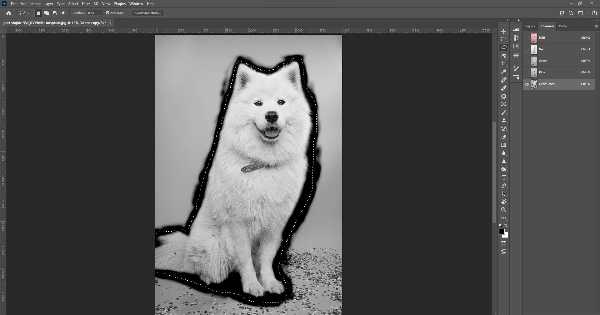 Шаг 7: обводка вокруг собаки