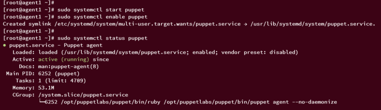 Статус службы puppet на агенте