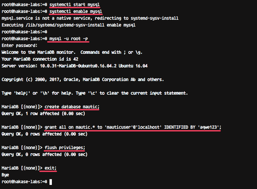 Окно создания базы данных в MySQL