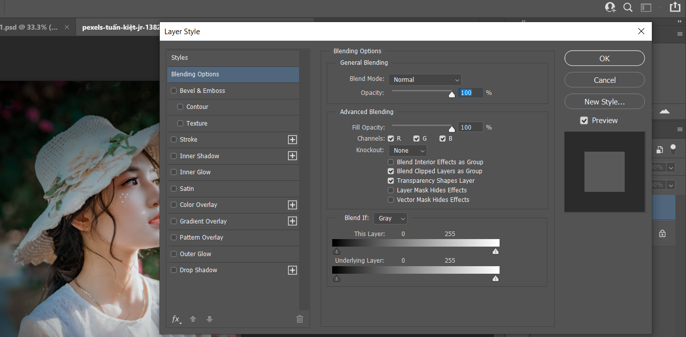 Открыть стиль слоя — цветы