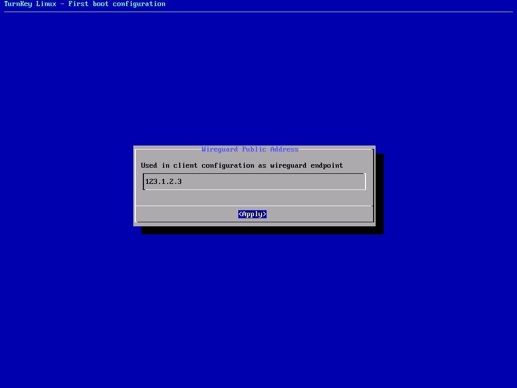 Скриншот ввода публичного IP-адреса WireGuard
