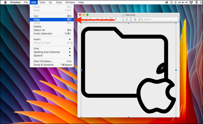 Нажмите «Копировать» после выделения PNG в Preview