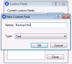 Добавление полей Custom Fields