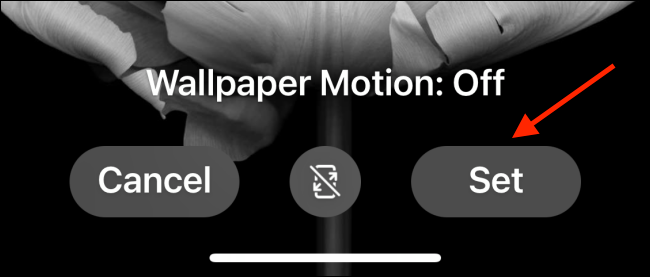 Нажмите «Установить» для применения обоев