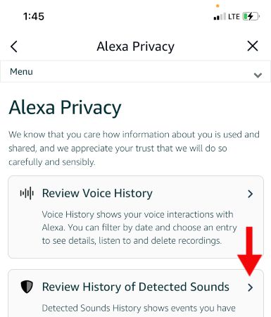 Страница конфиденциальности Alexa в приложении.