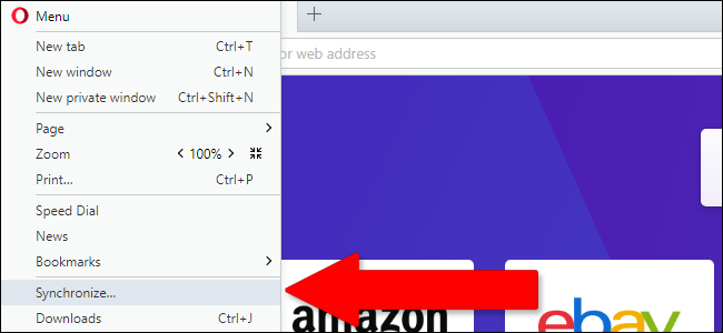 Окно синхронизации Opera: выбор данных для синхронизации