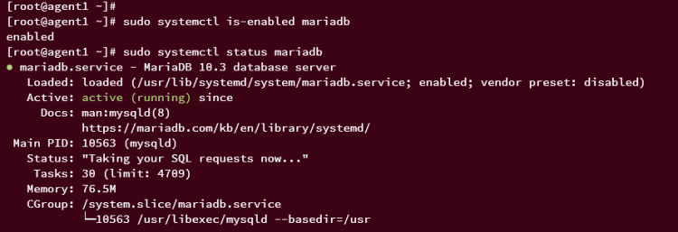 Проверка mariadb