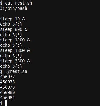 Показ PID последнего фонового процесса с помощью ${!}