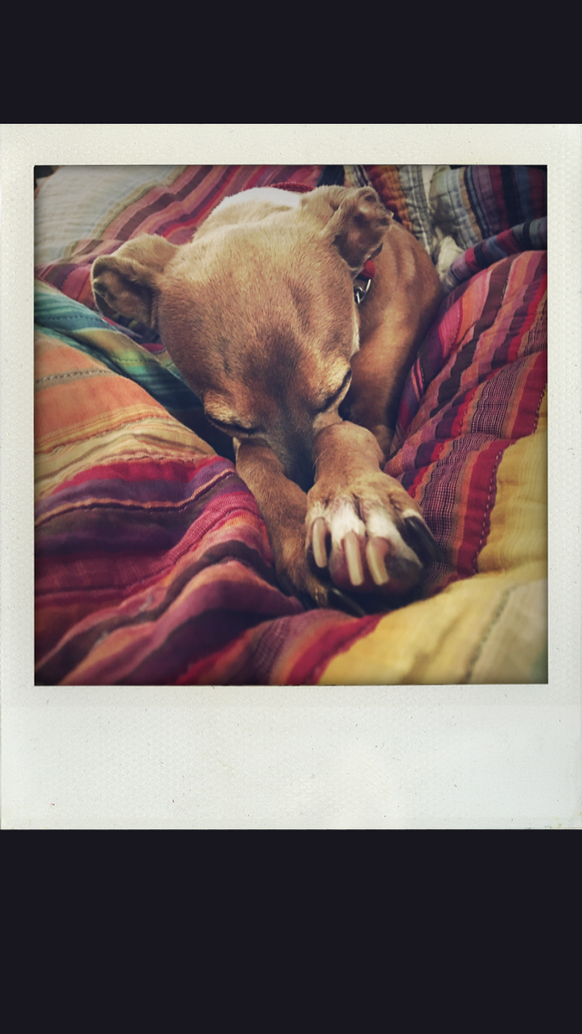 Рамка с фотографией внутри