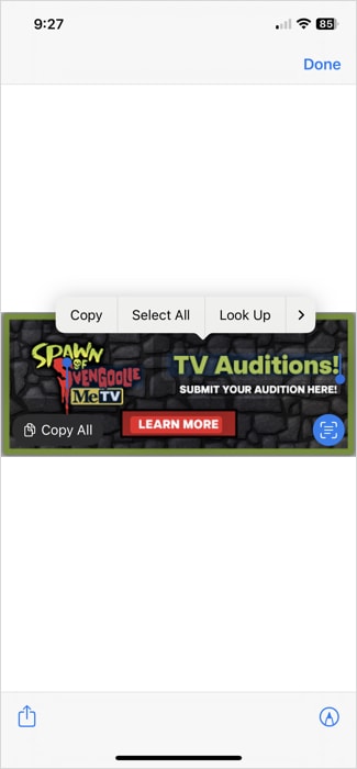 Действия Live Text для изображения в Safari на iPhone