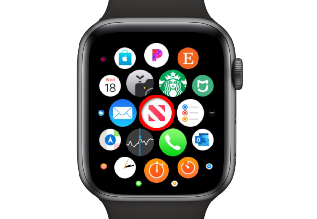 Apple Watch News App Icon