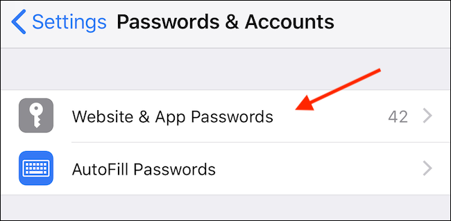Пункт меню «Пароли для сайтов и приложений» в Настройках