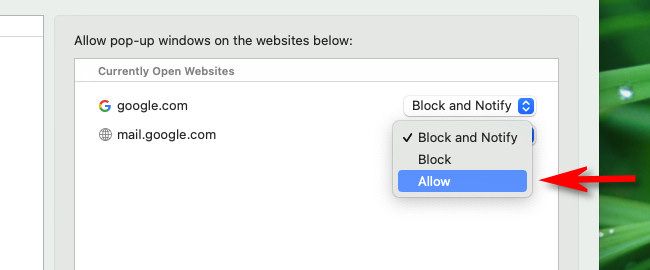 Выпадающее меню рядом с названием сайта, выбрана опция «Разрешить»