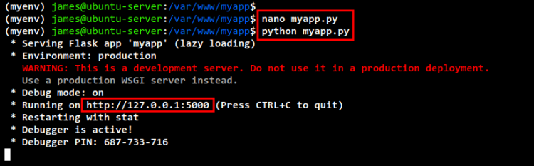 Запуск приложения Flask на localhost:5000