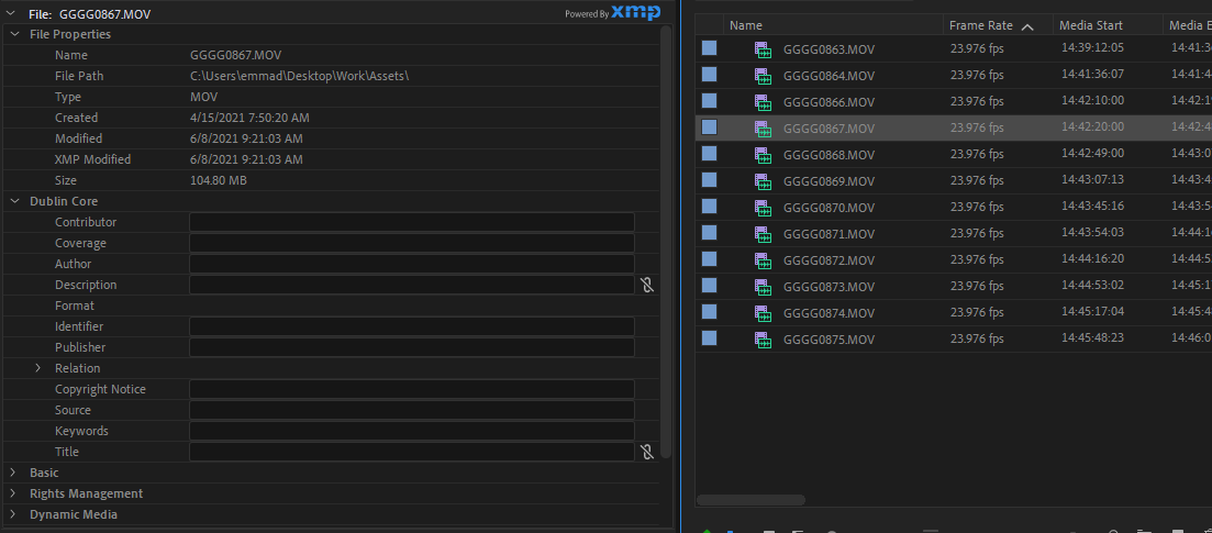 Свойства файла в Premiere Pro